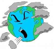 Problema de mediu este ... Cauzele problemelor de mediu. Probleme ecologice ale Pământului