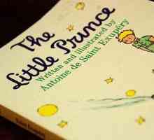 Exupery, "Little Prince": aforisme, eroi, temă