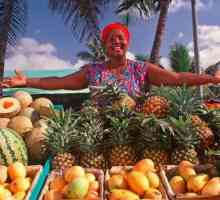 Fructele exotice Dominicani: lista, nume și fapte interesante