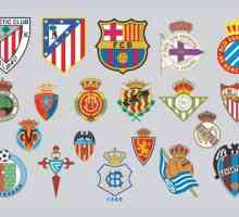 Emblemele cluburilor de fotbal și semnificația lor istorică