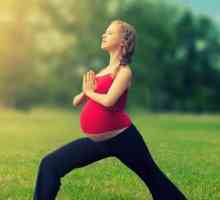 Yoga pentru femeile însărcinate (primul trimestru). Yoga la domiciliu