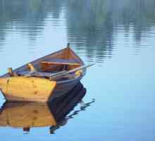 Despre ce visează barca: carte de vis