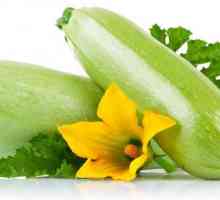 Zucchini: proprietăți utile și contraindicații