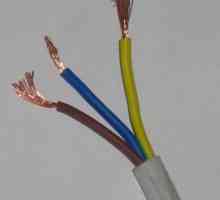 Cablu PVS: caracteristici și aplicații