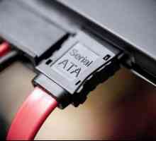 Cabluri și adaptoare. Cablu de hard disk SATA