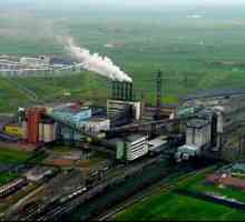 Calitatea cărbunelui în bazinul de cărbuni din Pechora, consumatorii săi, rezervele sale.