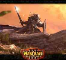 Cum se joacă Warcraft 3 online: Instrucțiuni
