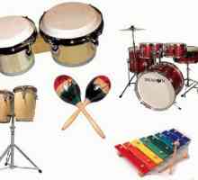 Cum se folosesc instrumente de percuție în muzică? Un instrument muzical pentru copii din grupul de…