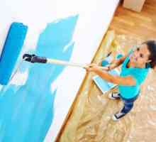Cum să pictezi un zid cu un role: sfatul unui maestru
