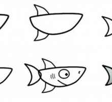 Cum de a desena un rechin: clase de maestru pentru diferite vârste