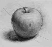 Cum de a desena un măr: învață să vezi frumosul în obișnuit