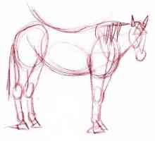 Cum să atragă un cal cu un simplu creion