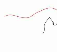 Cum de a desena un cal în etape: o schemă simplă