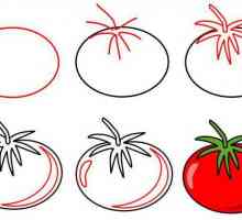Cum de a desena o tomată în creion și acuarelă, într-o tăietură și întreg?