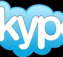 Cum se configurează un microfon în Skype - câțiva pași simpli