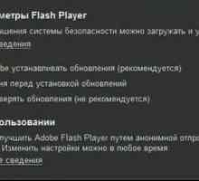 Cum se actualizează Flash Player: mai multe situații tipice