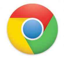 Modul de actualizare automată și manuală a playerului flash în Google Chrome