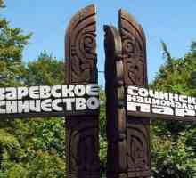 Cum să intri în basm, sau "Regatul Berendeevo" din Sochi
