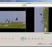 Cum se rotește video utilizând software special