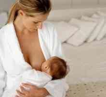 Cum să hrăniți bebelușul cu laptele matern? Sfaturi pentru mamele tinere