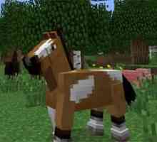 Как приручить лошадь в Minecraft?