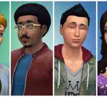 Cum de a diversifica jocul cu mods pe exterior pentru "The Sims"?