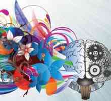 Cum să dezvolți imaginația și creativitatea: metode și recomandări eficiente