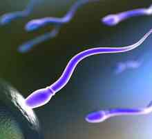 Cum să treci sperma? Informații generale