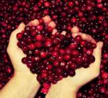 Cum sa faci un harvester pentru recoltarea de cranberries de unul singur?