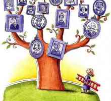 Cum se face un arbore genealogic. Instrucțiuni pas-cu-pas
