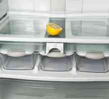 Cum să eliminați mirosul din frigider: instrumente și metode