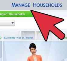 Cum să elimini o familie în "The Sims 4": secrete și recomandări