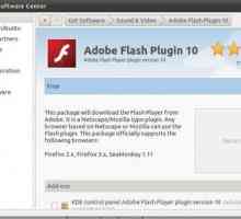 Cum se instalează un player flash: descriere detaliată