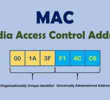 Cum să aflați adresa MAC a unui laptop cu Windows 7, 8, XP