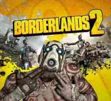 Ca și în Borderlands 2 joacă pe rețea: prin Hamachi, în "Steam"