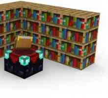 Cum se face în Maynkraft un raft de bibliotecă și care este folosirea acesteia?