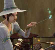 Cum de a deveni vrăjitoare în "Sims-2"? Sfaturi pentru jucătorii începători