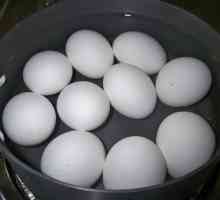 Cum să fierbeți ouăle astfel încât să fie bine curățate? Secretele bucătarilor