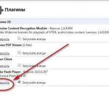 Cum să activați Adobe Flash Player în Plugin-urile Yandex sau totul despre lucrul cu modulul