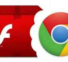 Cum să activați Flash Player în Google Chrome: sfaturi și trucuri