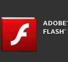 Cum să activați Flash Player în Yandex.Browser: sfaturi, recomandări, instrucțiuni
