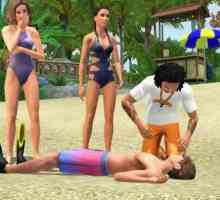 Cum se introduc codurile pentru "Sims 3" pentru nevoi