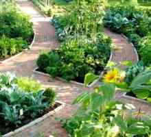 Cum de a alege o frontieră de grădină pentru site-ul dvs.?