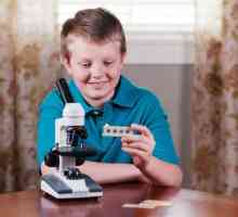 Cum de a alege un microscop pentru un elev școlar?