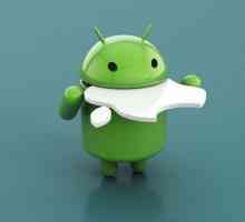 Cum se descarcă flash player pentru Android