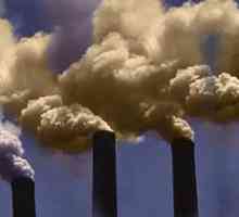 Cum să protejăm aerul împotriva poluării? Recomandări ale ecologiștilor