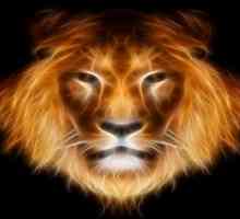 Cum de a câștiga Leul leul? Horoscop: o femeie-leu si un leu