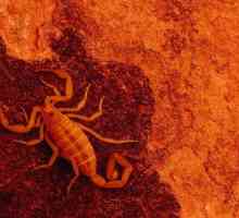 Ce planetă este patronul Scorpionului