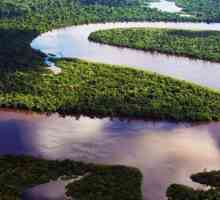 Care este cel mai lung fluviu din lume? Caracteristici ale Amazonului