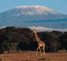 Care este cel mai înalt munte din Africa? Kilimanjaro: descriere, fotografie